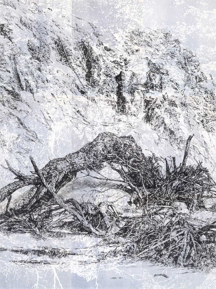 Verge 1, 2018, pencil and monotype on paper, 228cm x 168cm