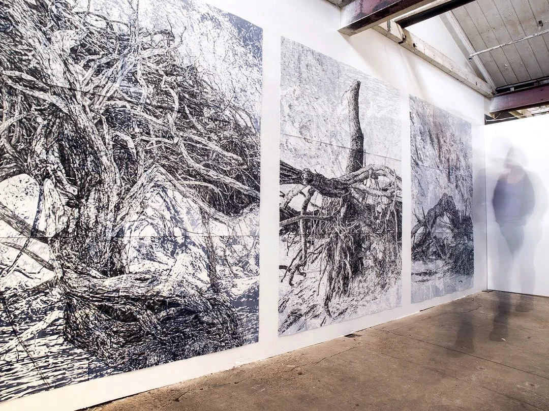 Verge series install, 2018, George Farmer Building, Biennale of Australian Art, Ballarat.