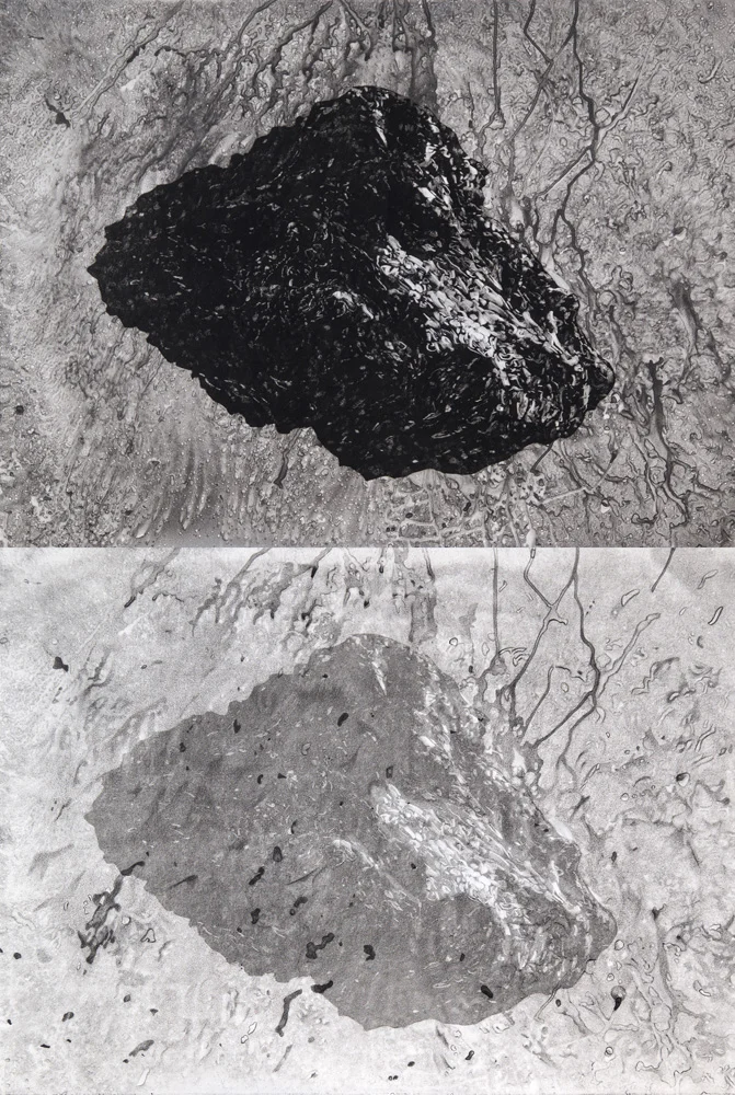 Borrowed Time (coal) , 2019, monotype and pencil on paper, 112cm x 76cm