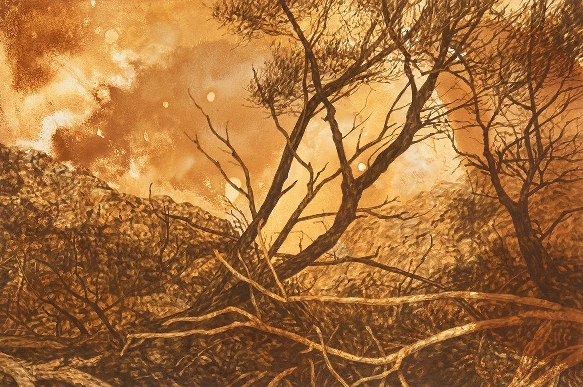 'Tangle (Wana Karnu)' (detail), 2025, rust and acrylic ink on paper, 240cm x 360cm.