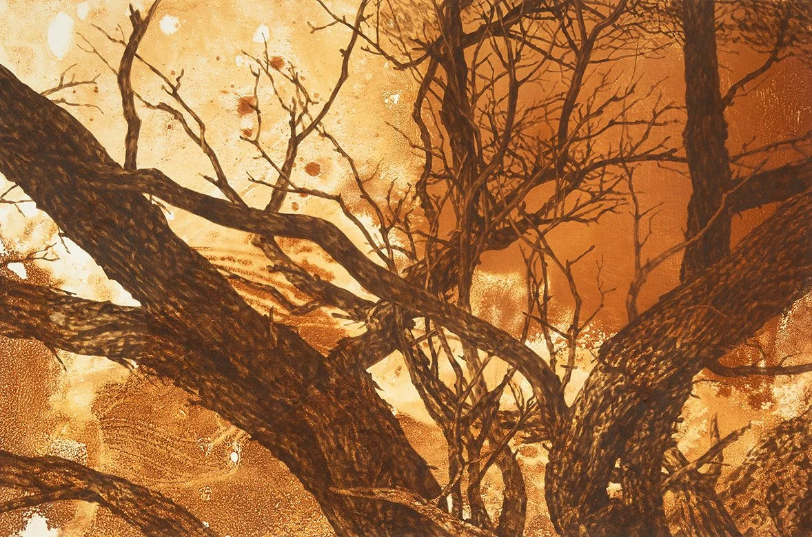 'Tangle (Wana Karnu)' (detail), 2025, rust and acrylic ink on paper, 240cm x 360cm.