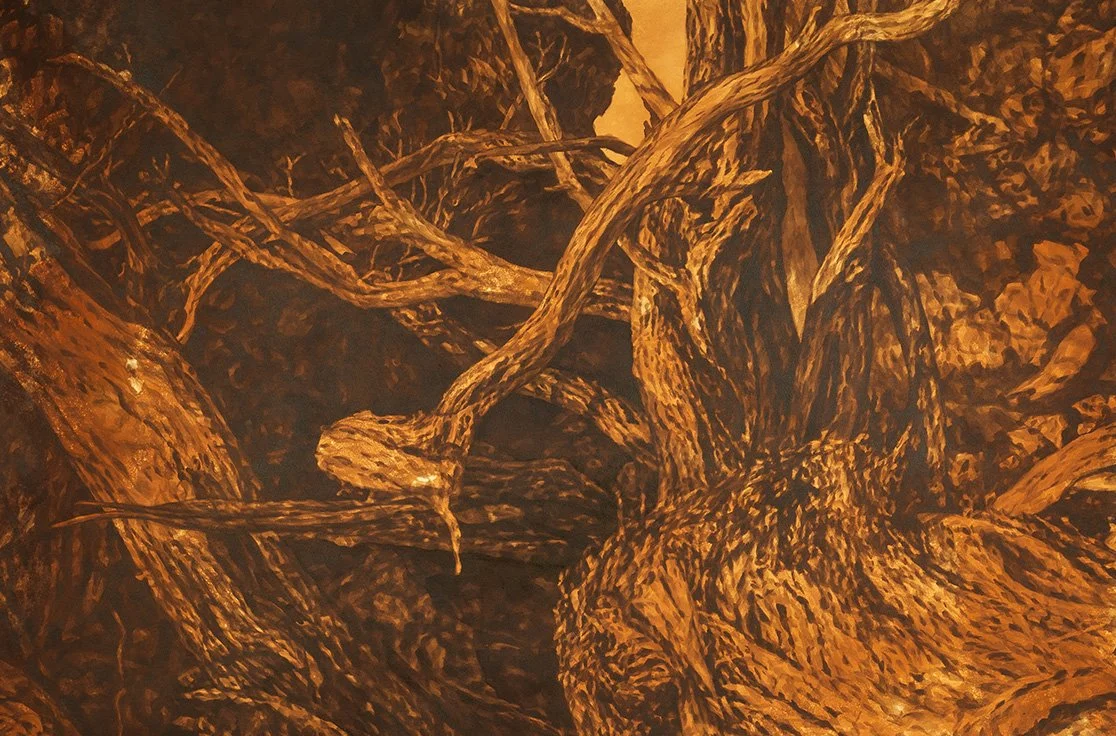 'Tangle (Wana Karnu)' (detail), 2025, rust and acrylic ink on paper, 240cm x 360cm.