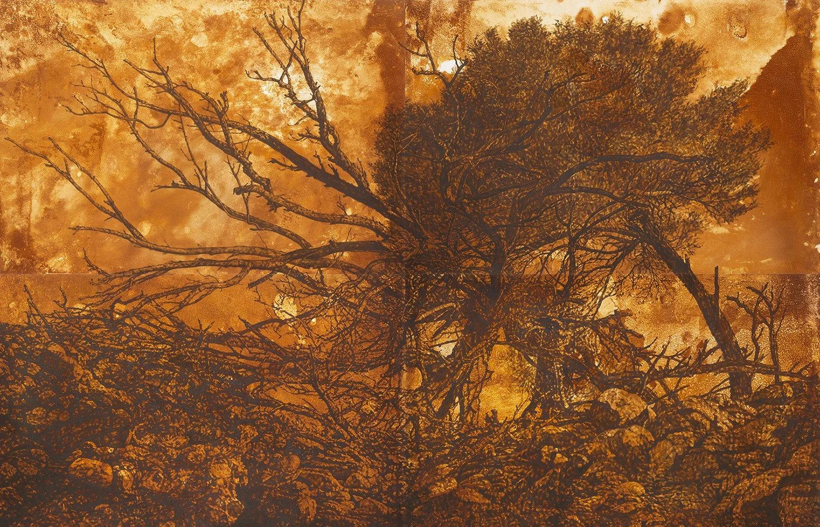 Wana Karnu (detail), 2024, rust and acrylic ink on paper, 240cm x 360cm.