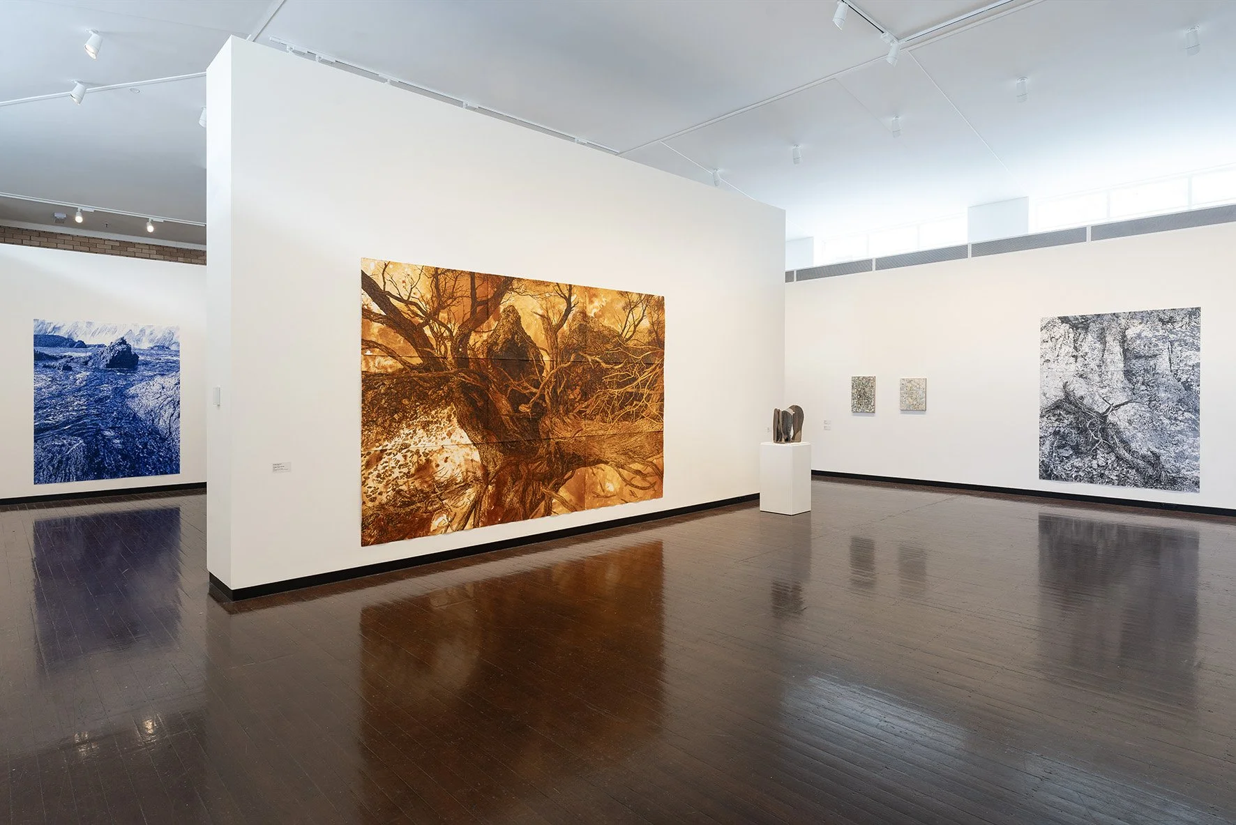 Installation of Material Nature at the ANU Drill Hall Gallery, 20 June - 10 August, 2025.