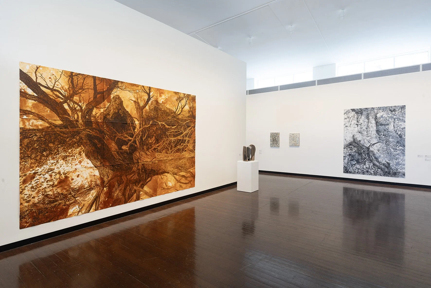 Installation of Material Nature at the ANU Drill Hall Gallery, 20 June - 10 August, 2025.