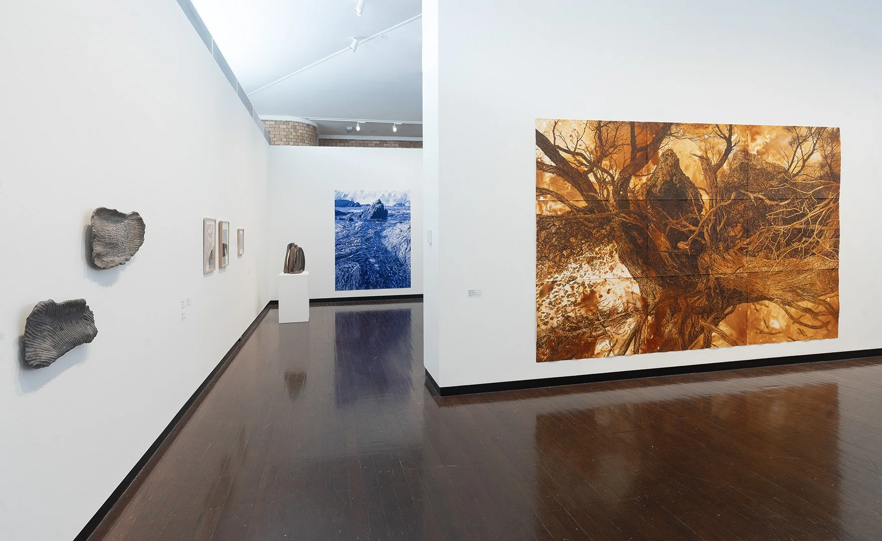 Installation of Material Nature at the ANU Drill Hall Gallery, 20 June - 10 August, 2025.