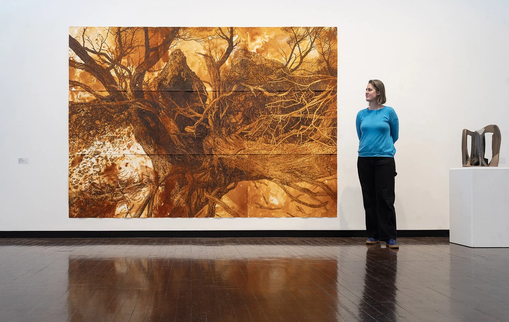 Installation of Material Nature at the ANU Drill Hall Gallery, 20 June - 10 August, 2025.
