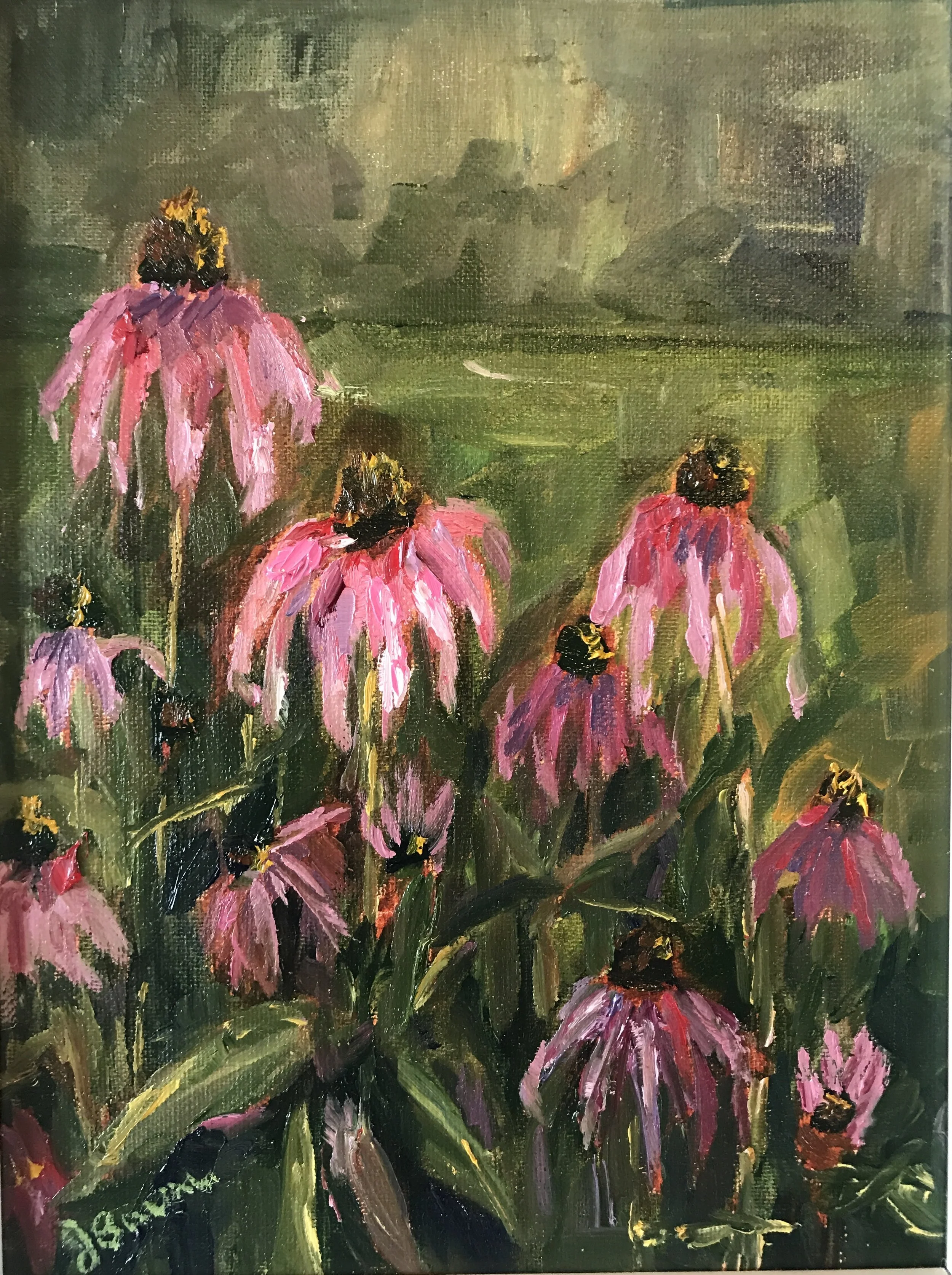 Cone Flowers