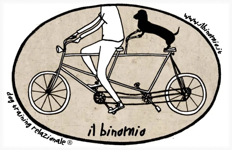 logobinomiosporco.jpg