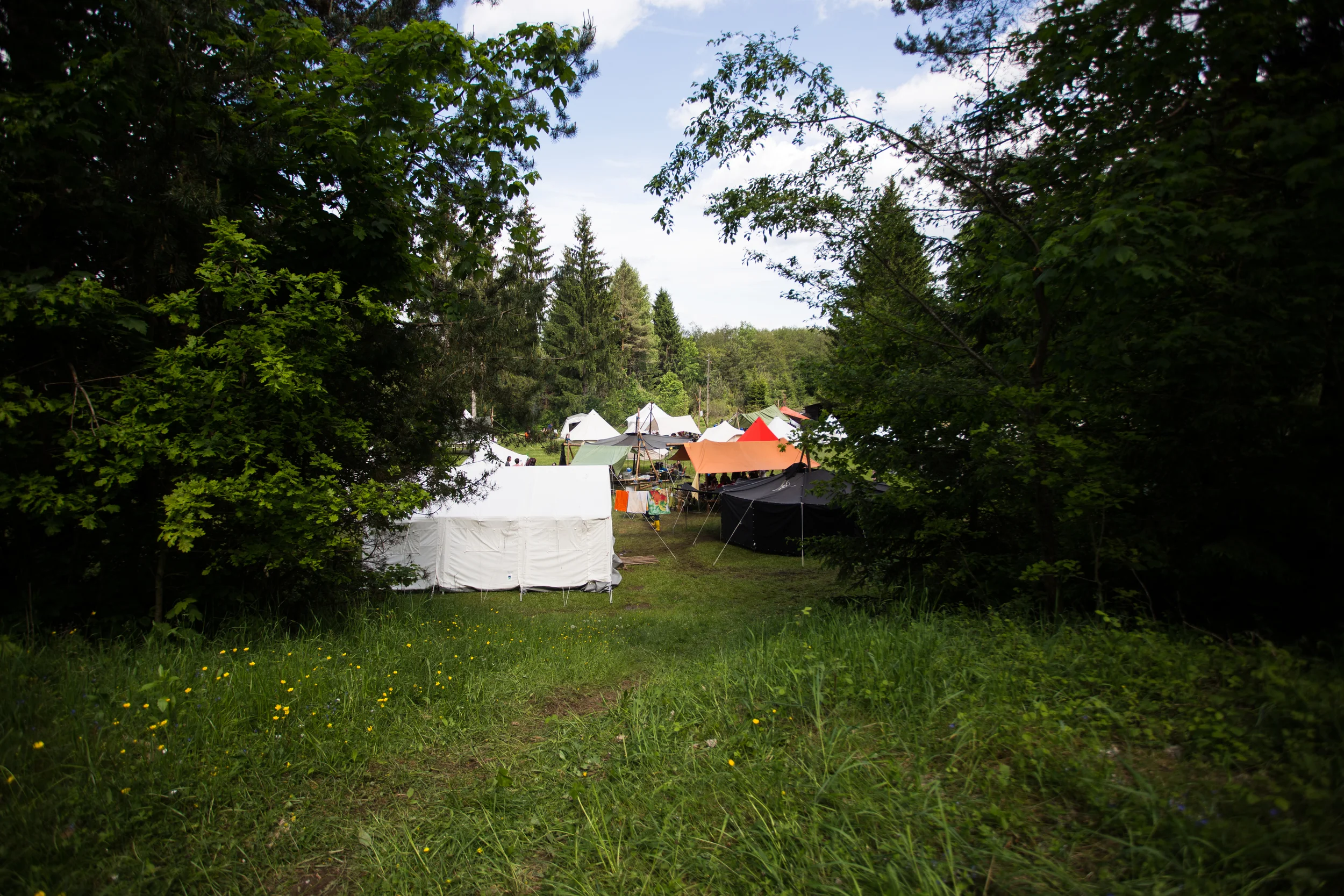 PfiLa_Aduado_2016-86.jpg