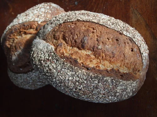 toastyoat.jpg