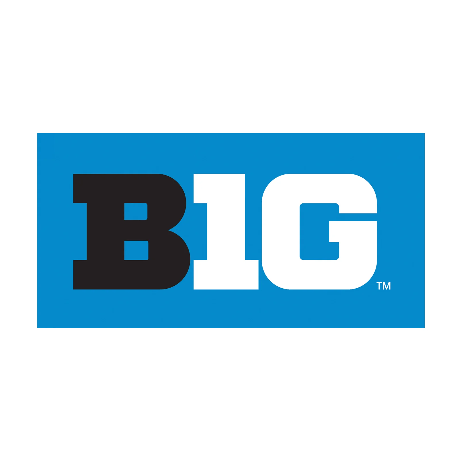 The Big Ten Wrestling Championships
