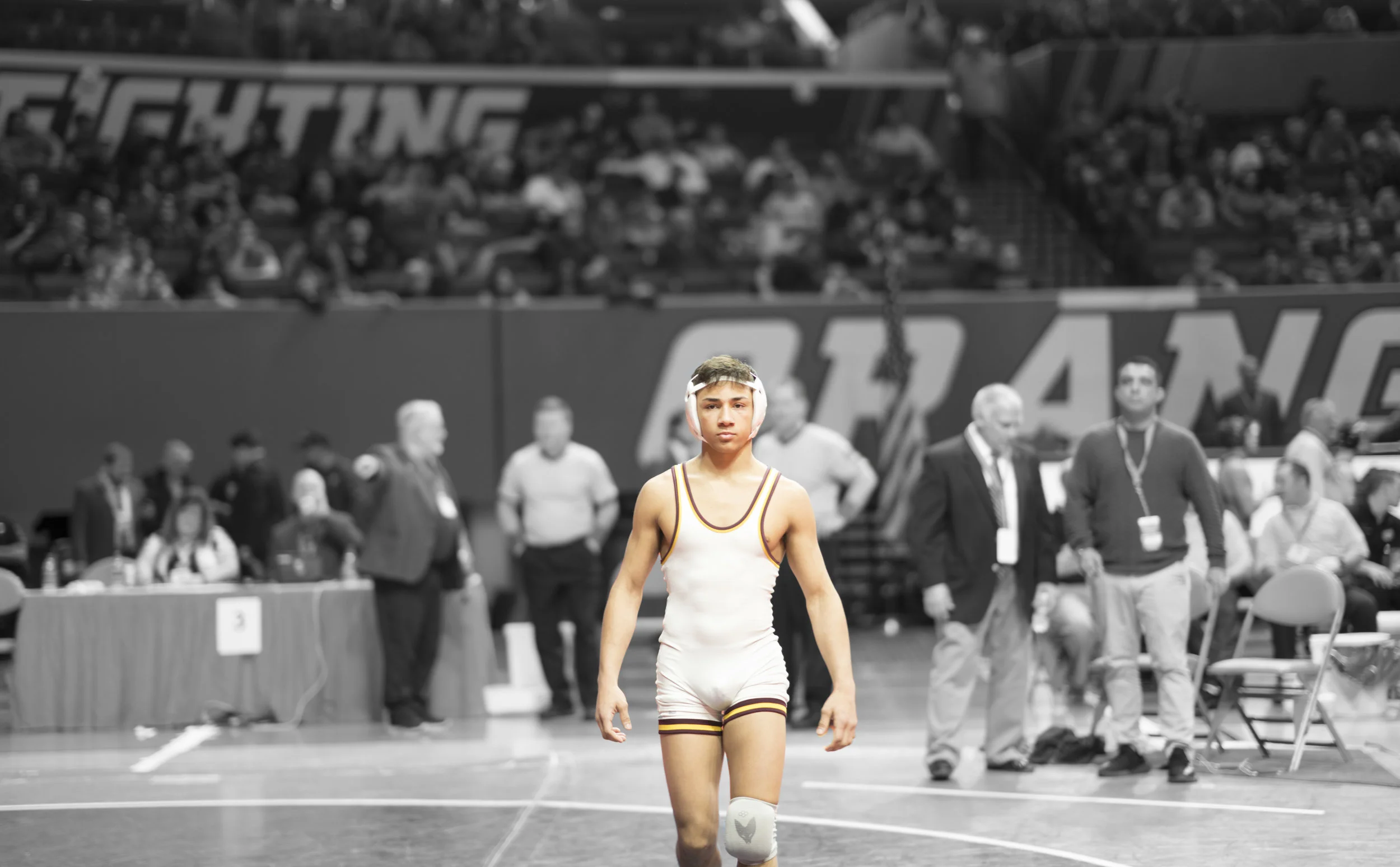 2017 IHSA State Wrestling Tournament
