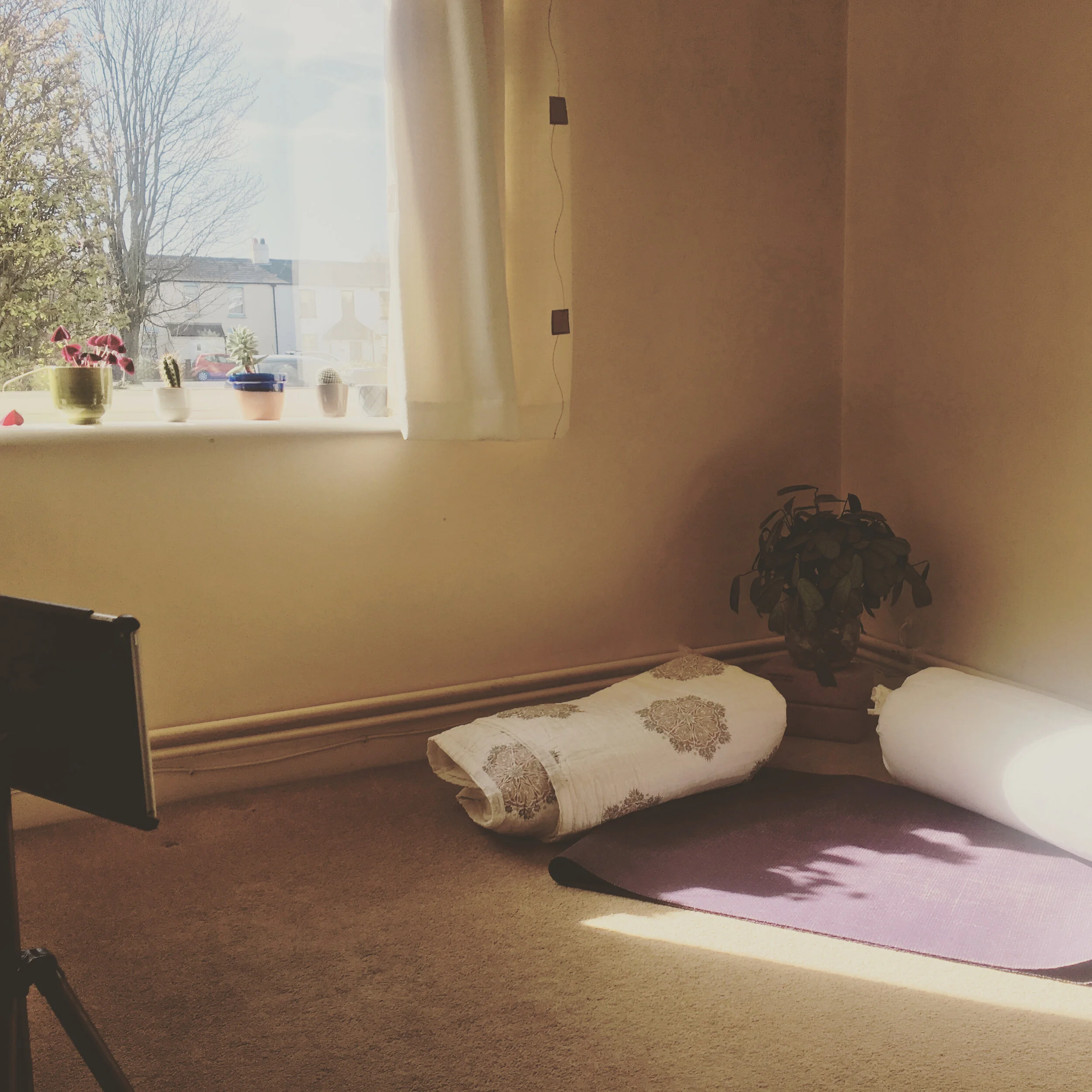 Rest and recovery online workshop