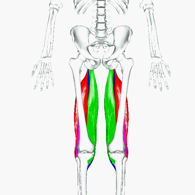 Speed date your hamstrings — Becci Curtis Yoga