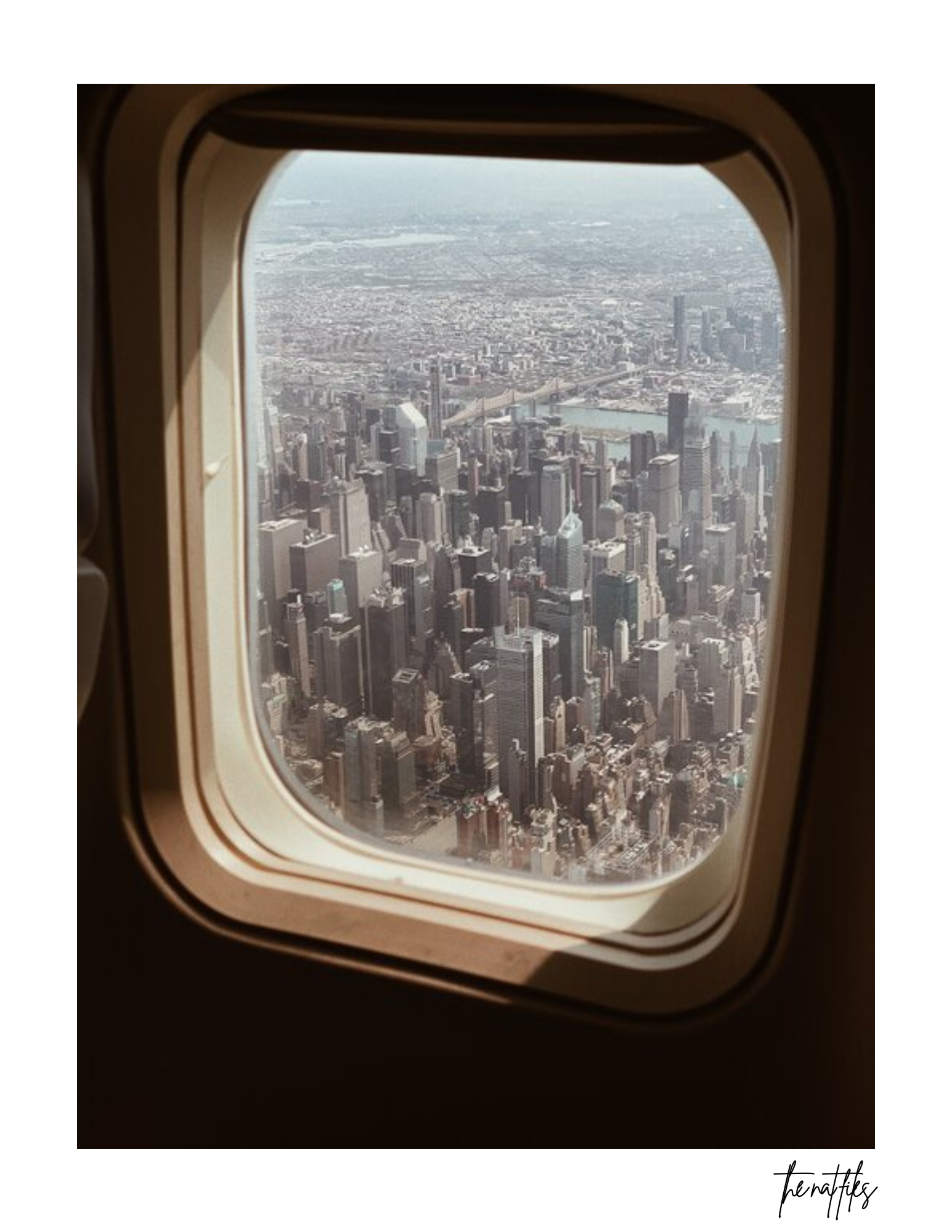 Bird’s Eye
