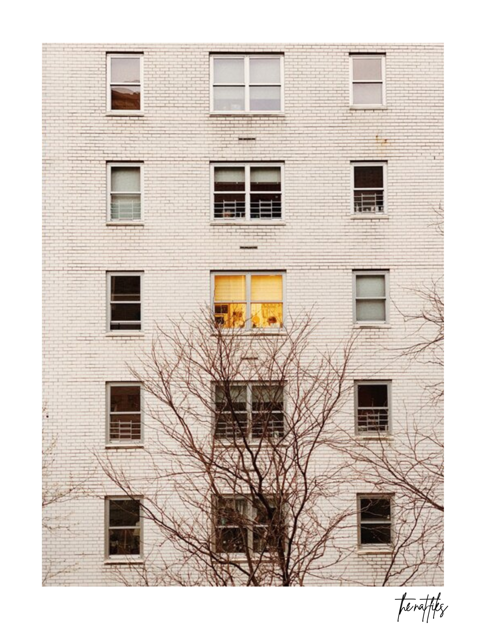 Neighbor
