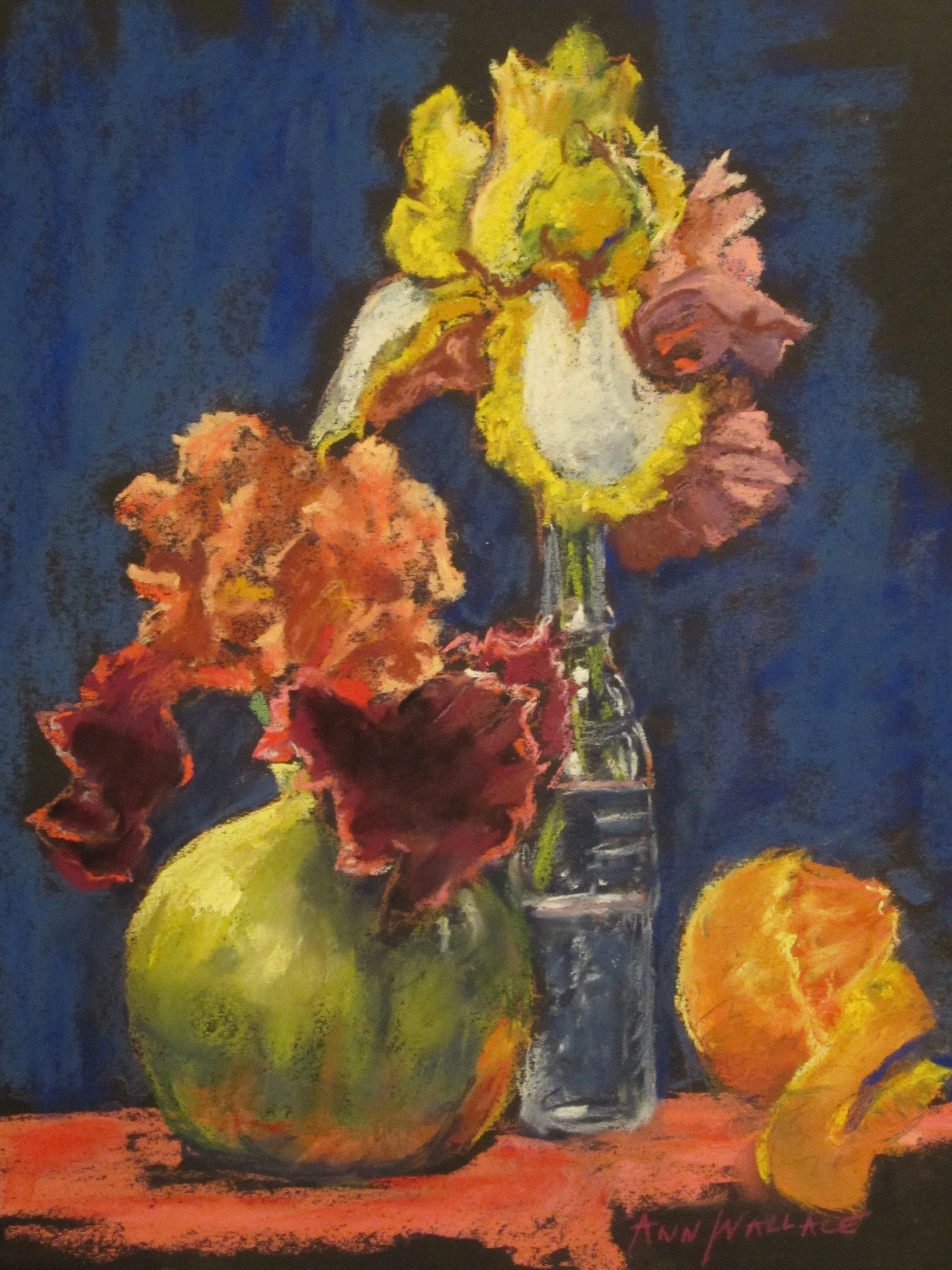 Bearded Irises, Pastel, 11” x 14”