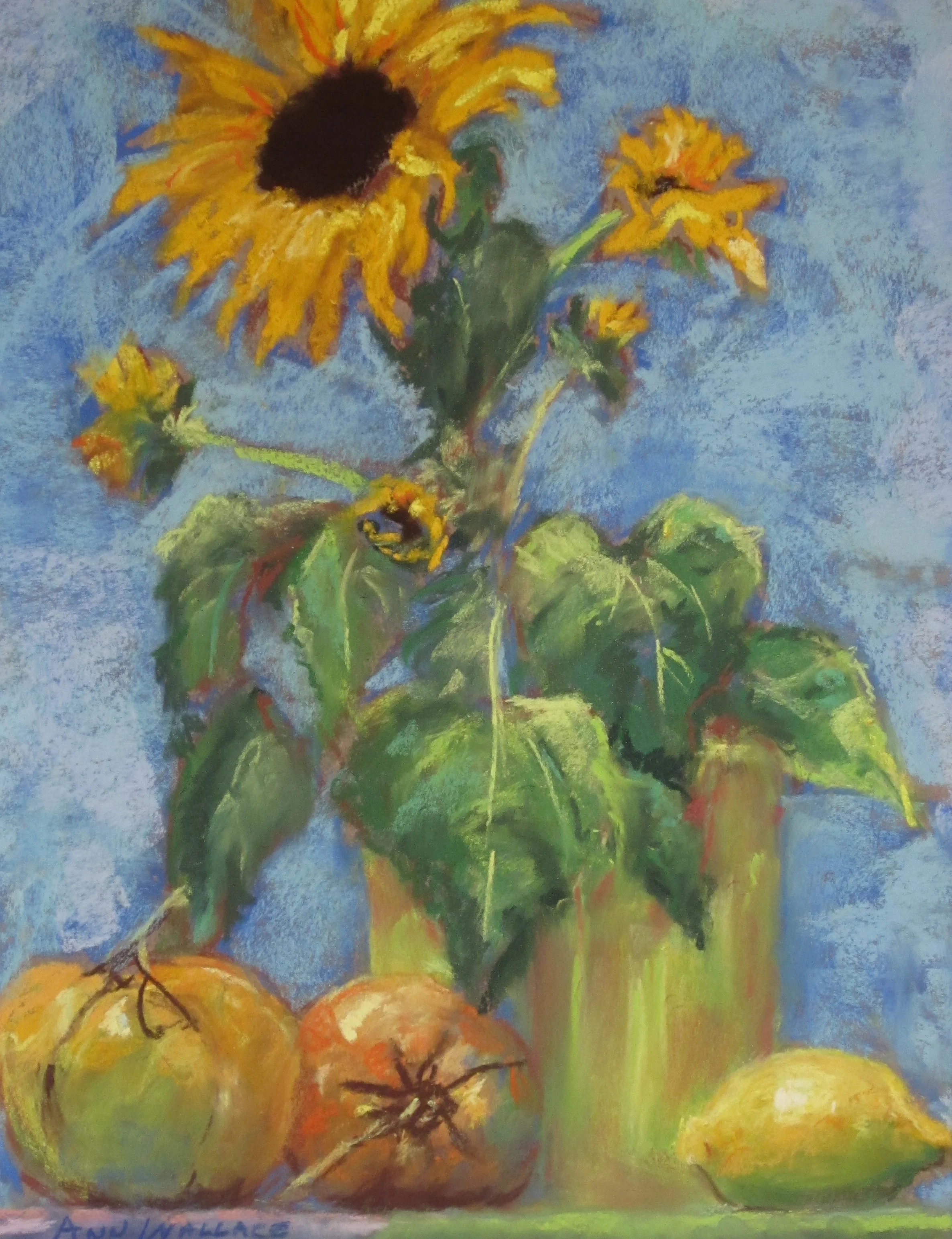 Sun-ripened, Pastel, 11” x 14"