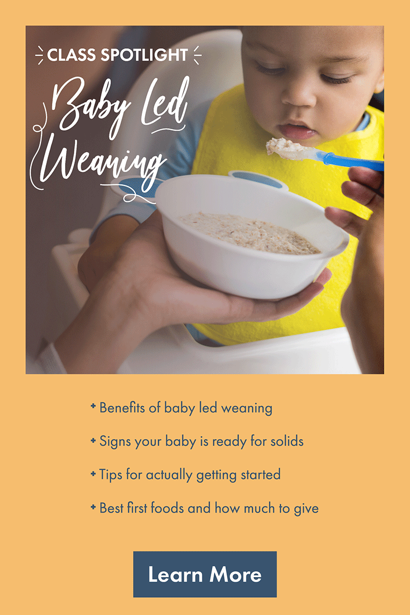 ClassHighlights_BabyLedWeaning.gif