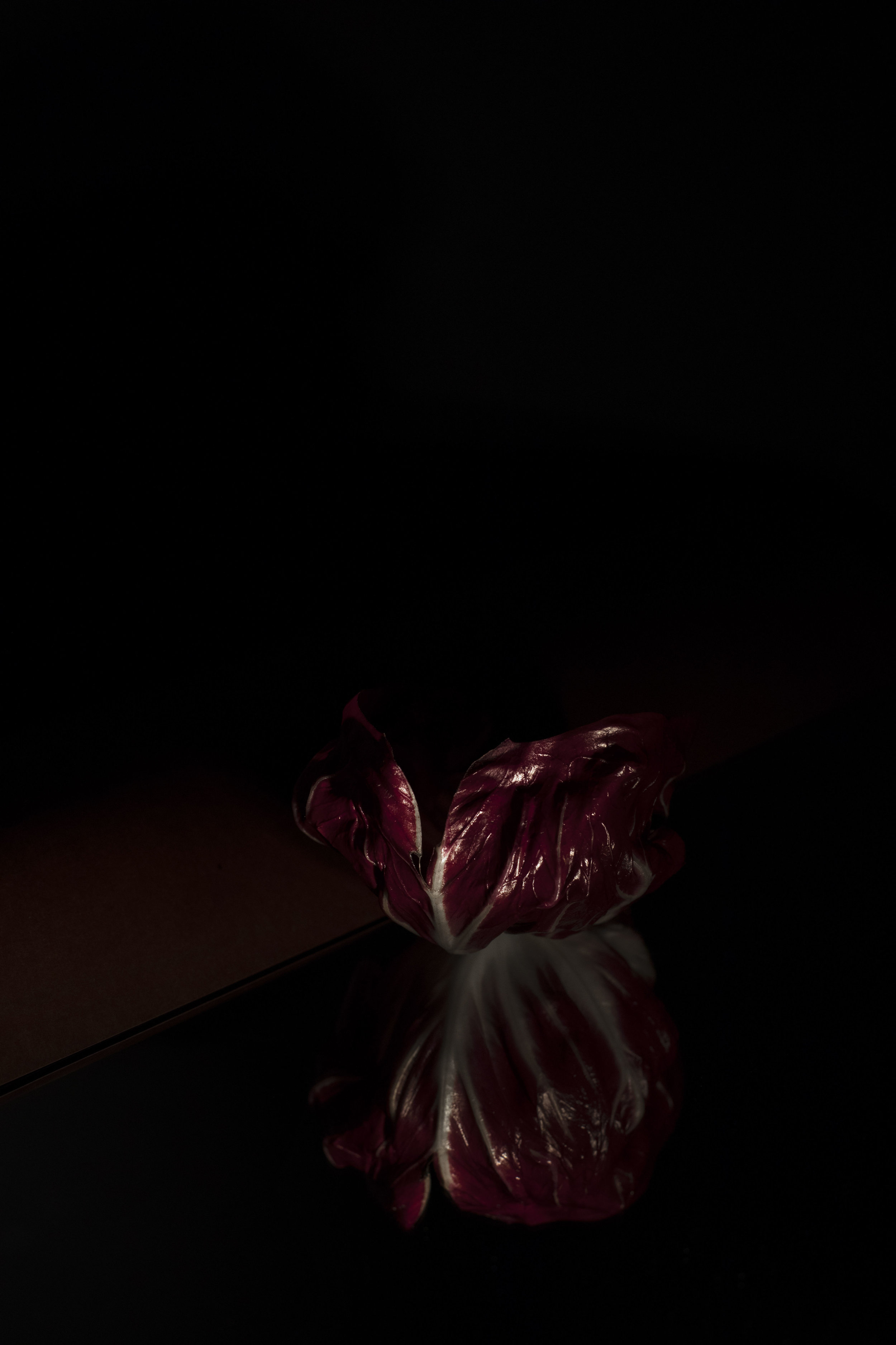 05_Andersen_Marcussen.jpg