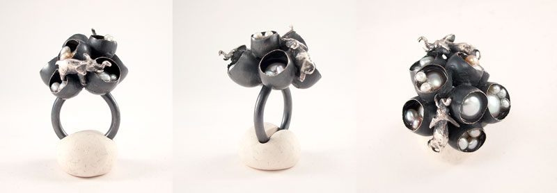 sanctuary_ring72.jpg