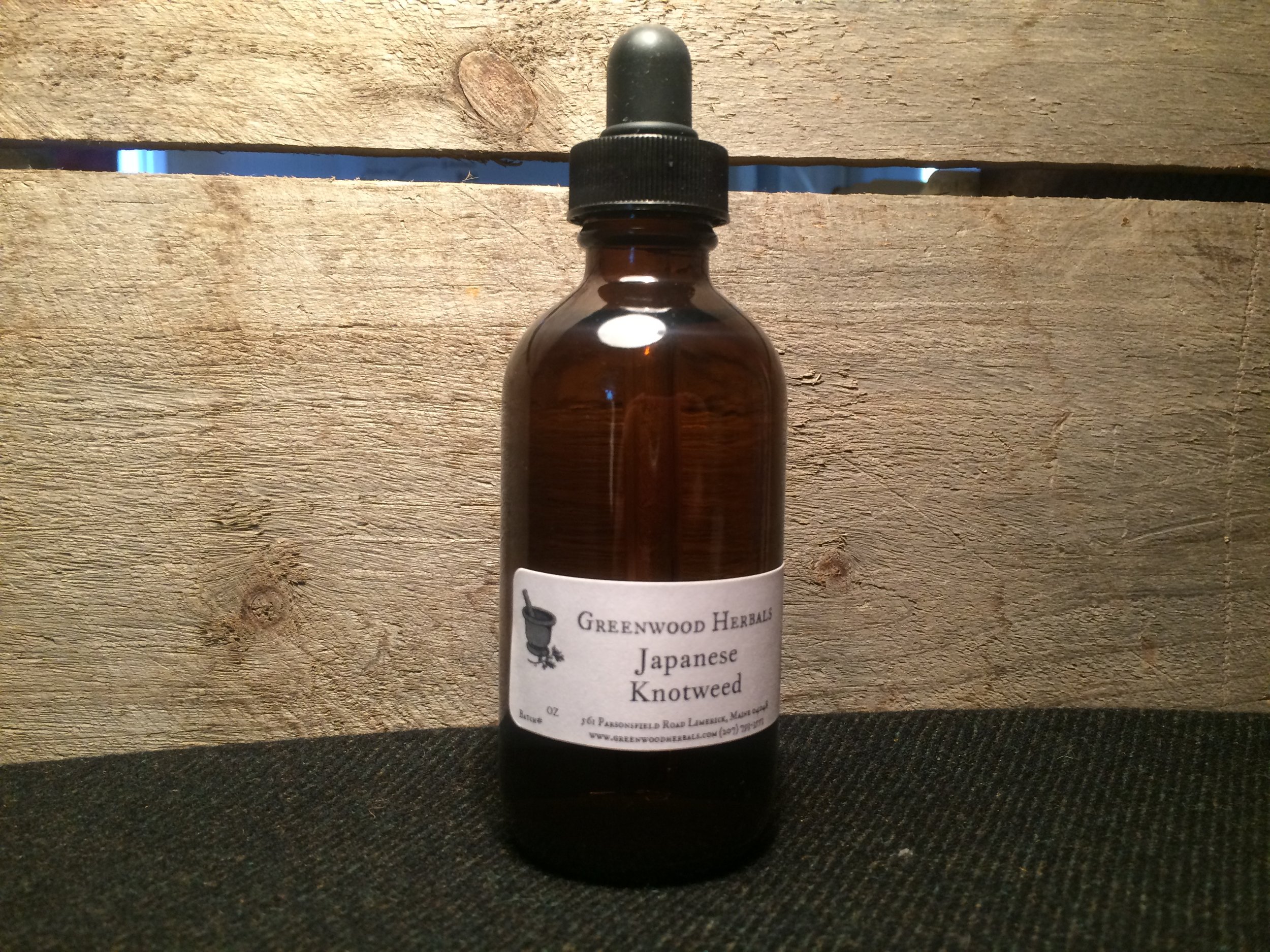 Japanese Knotweed.JPG