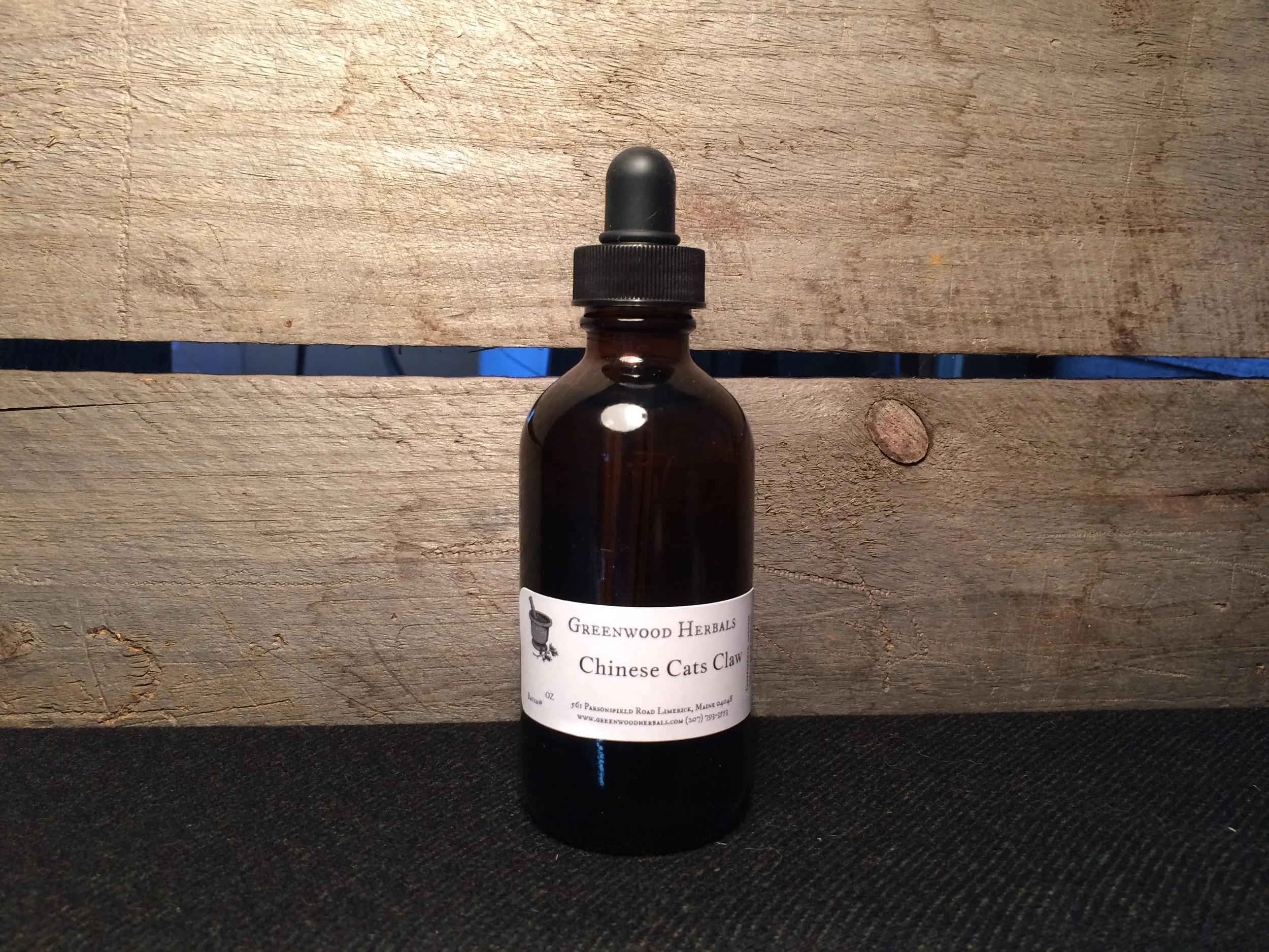 Chinese Cat's Claw.JPG