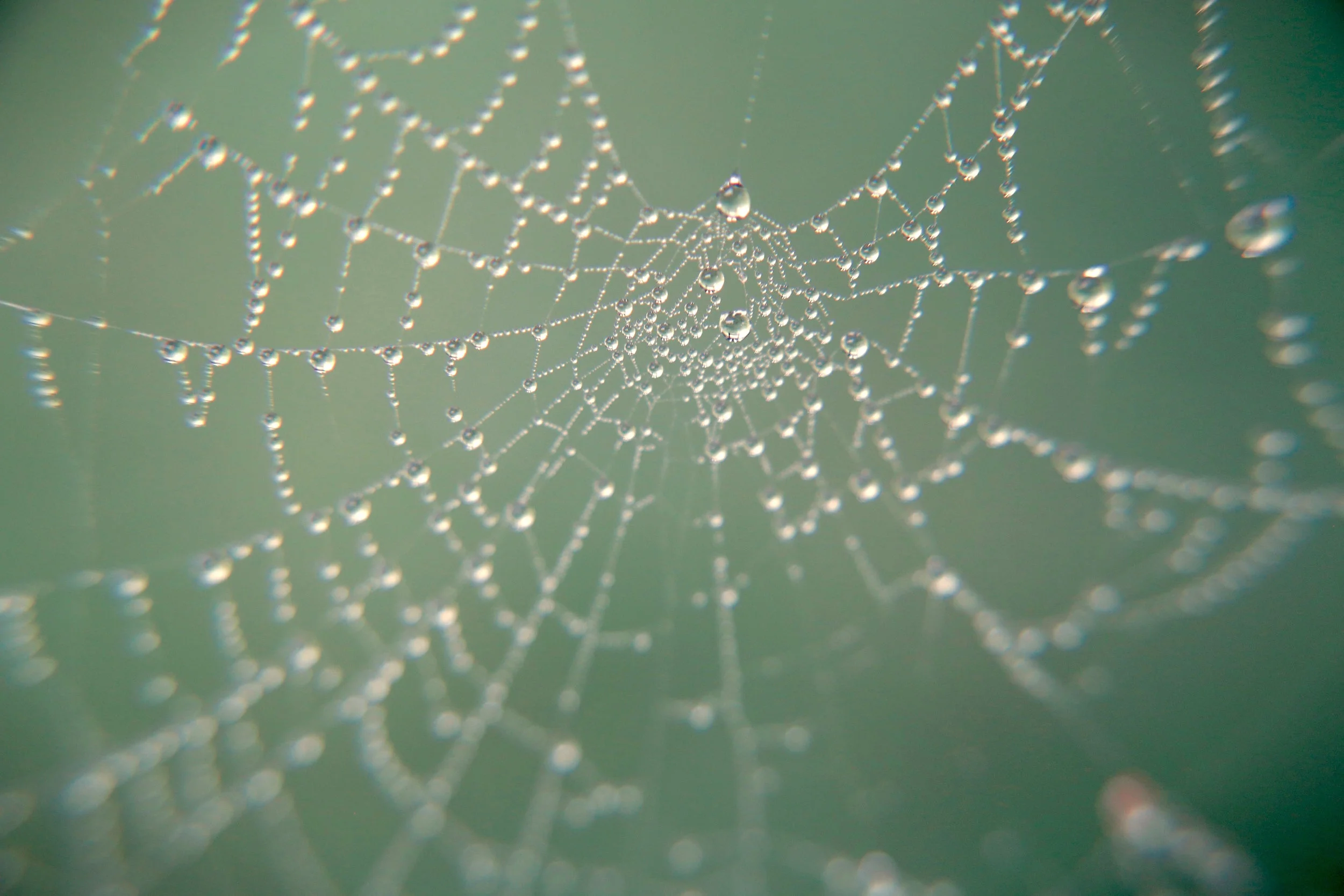 _86A5390.jpg