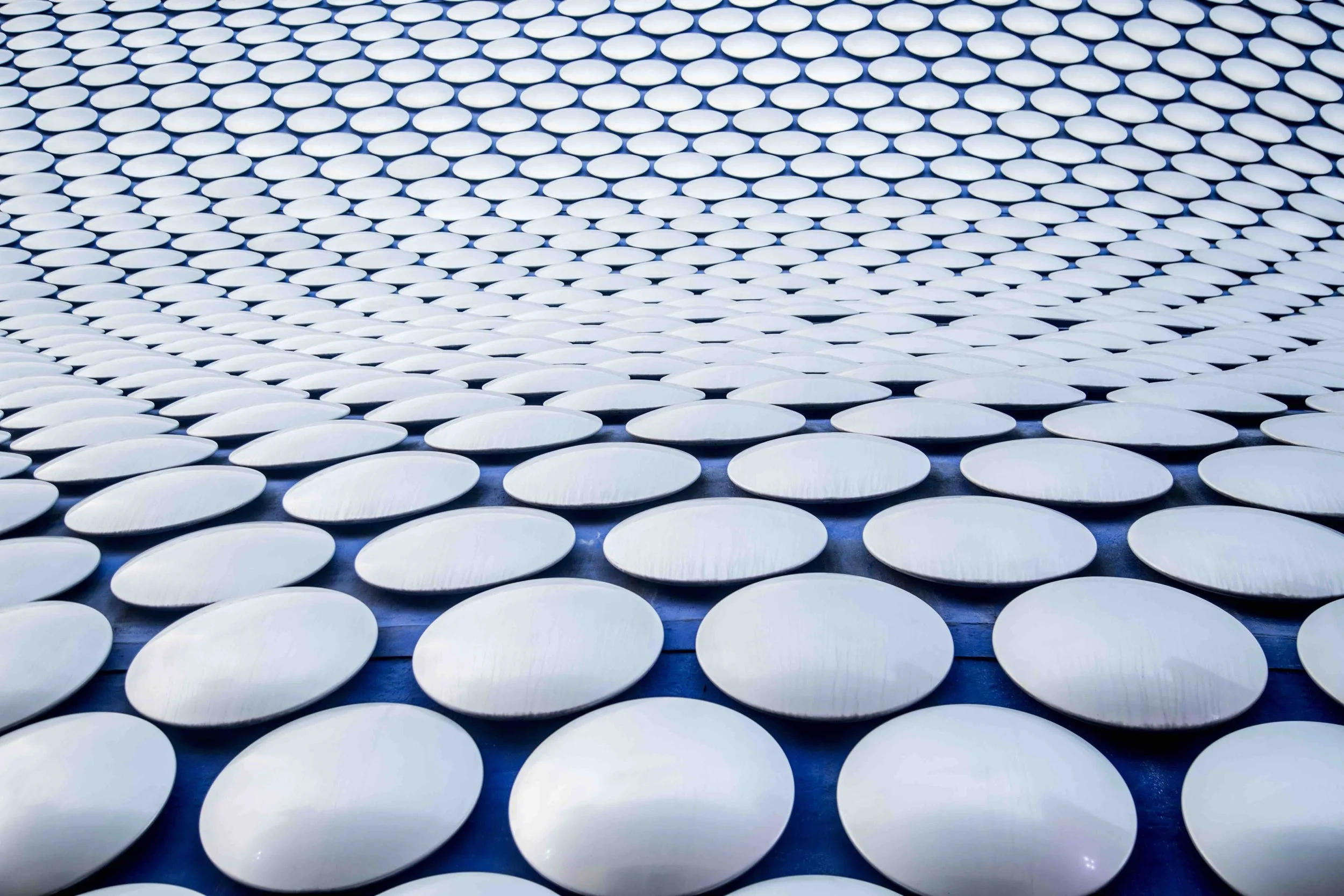 bullring bubbles.jpeg