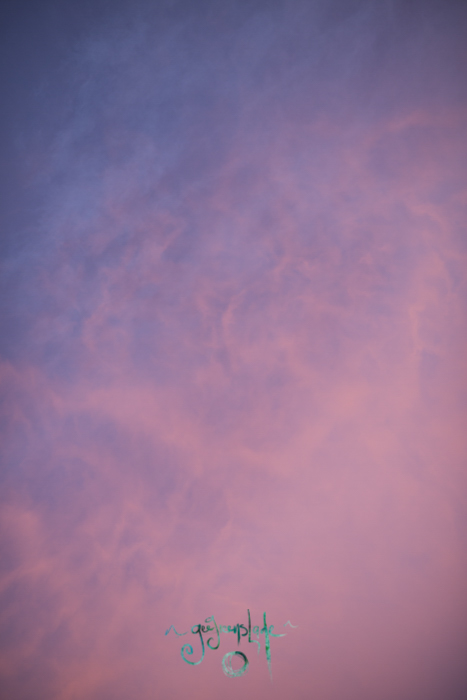Seriously how amazing is this sunset? Words cant describe the fun I had that night right outside my house!