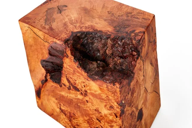 Cedar Burl Stump Accent - Top View.jpg