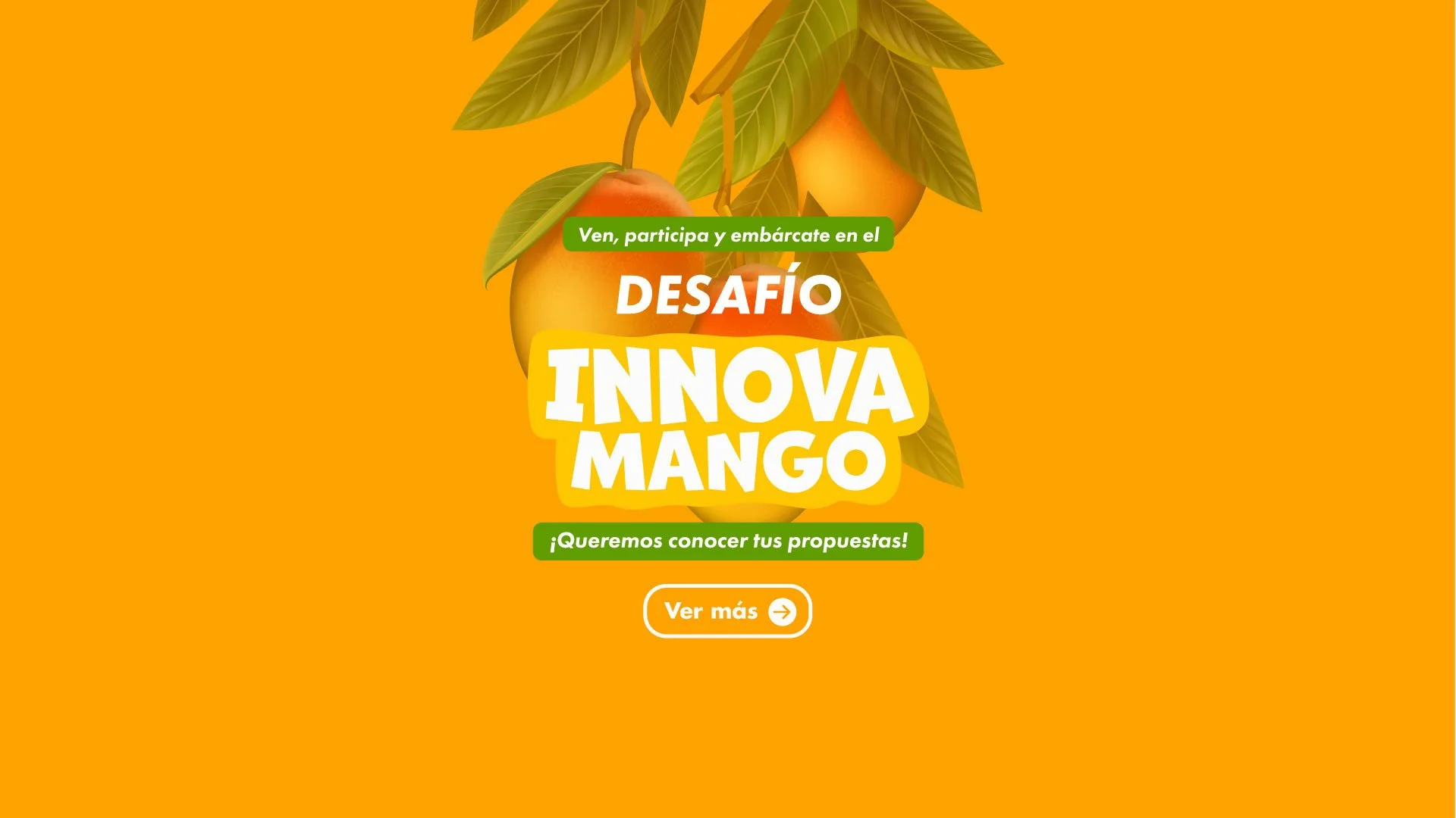 innovamango-banner-web.jpg