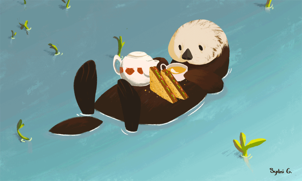 OtterTeaTime_SydniG.gif