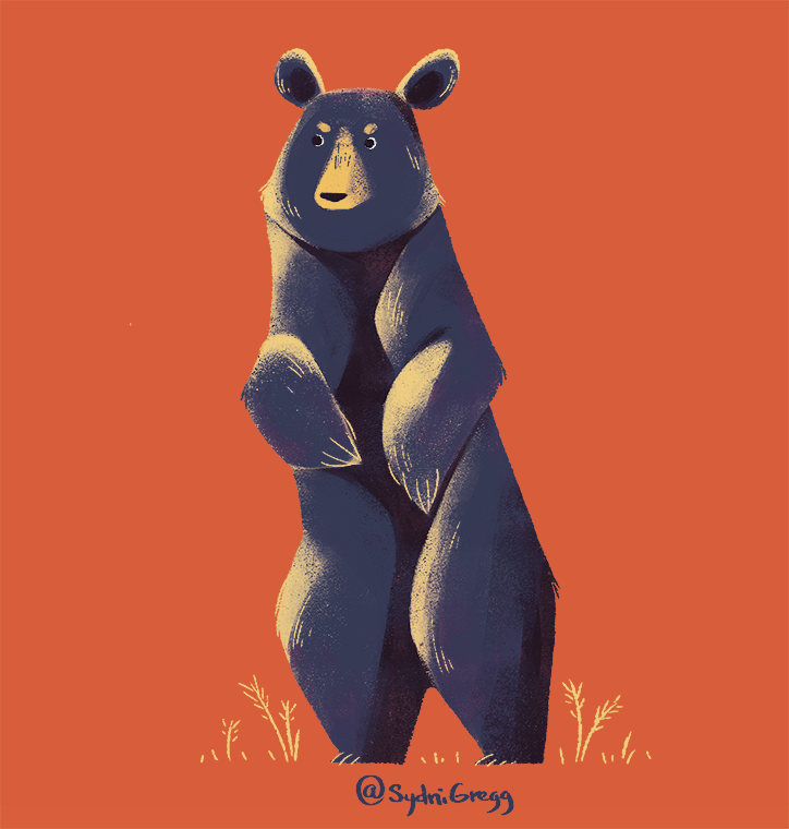 BearStudies_SydniGregg.png