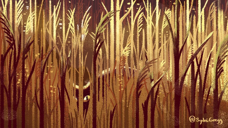 Fox in Grass