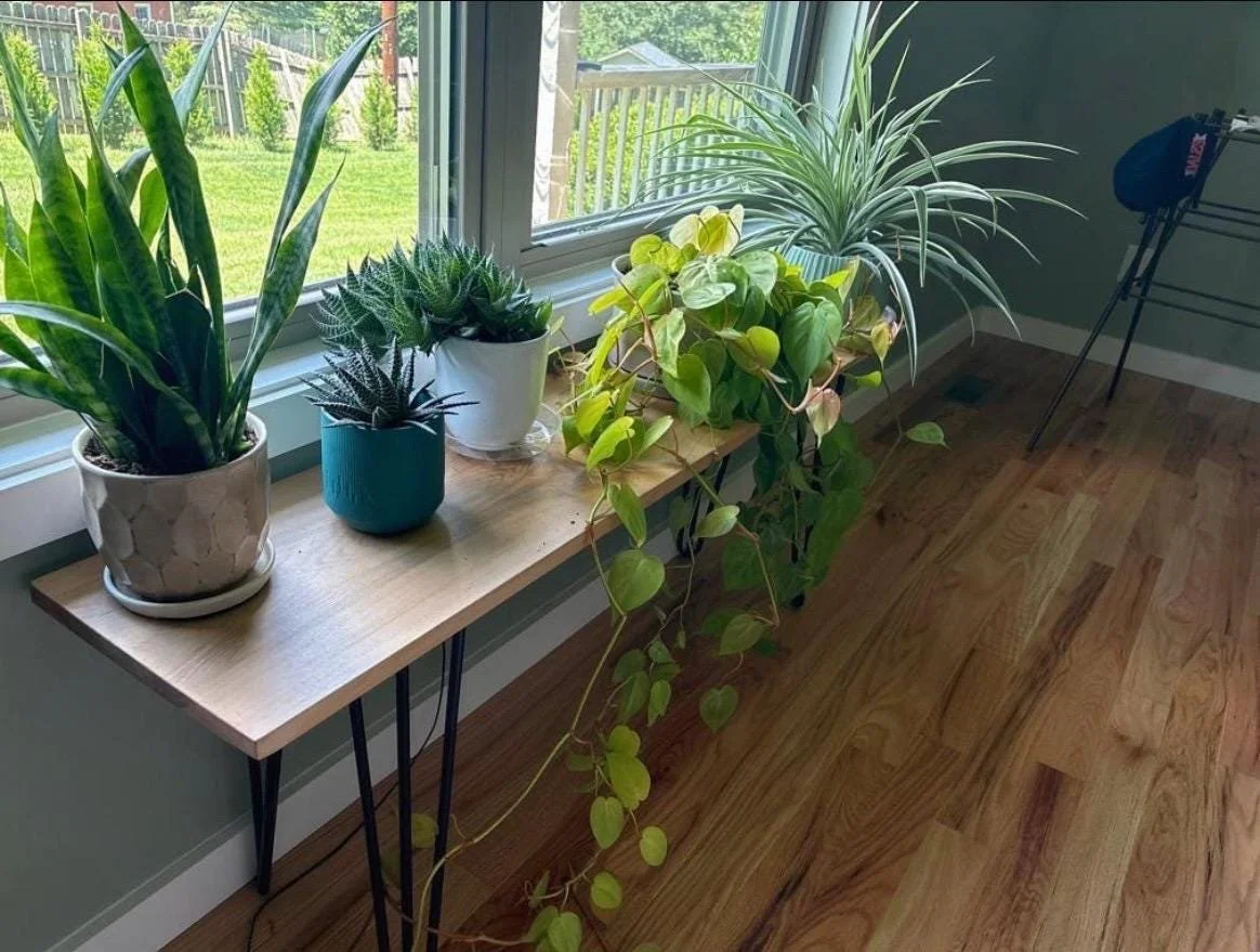 https://i.etsystatic.com/9936152/r/il/6899f0/8139736560/il_fullxfull.8139736560_dk7z.jpg