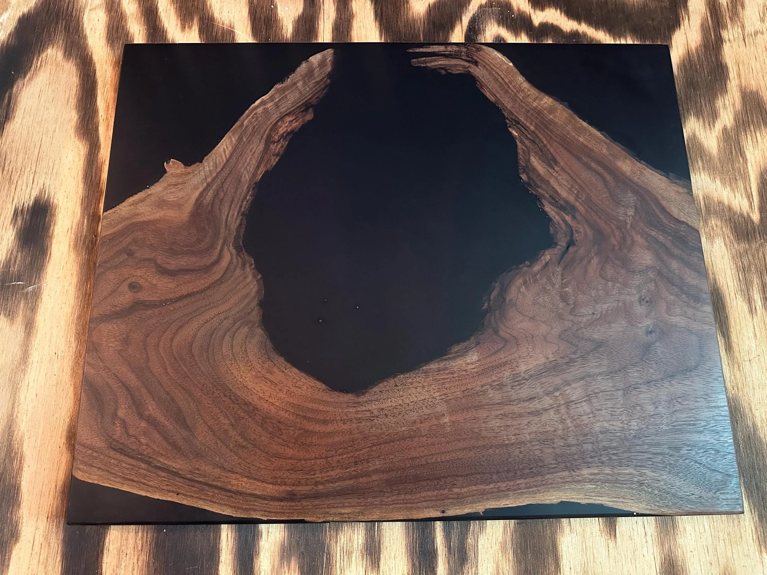 https://i.etsystatic.com/9936152/r/il/a2af52/7236127110/il_fullxfull.7236127110_lpp1.jpg
