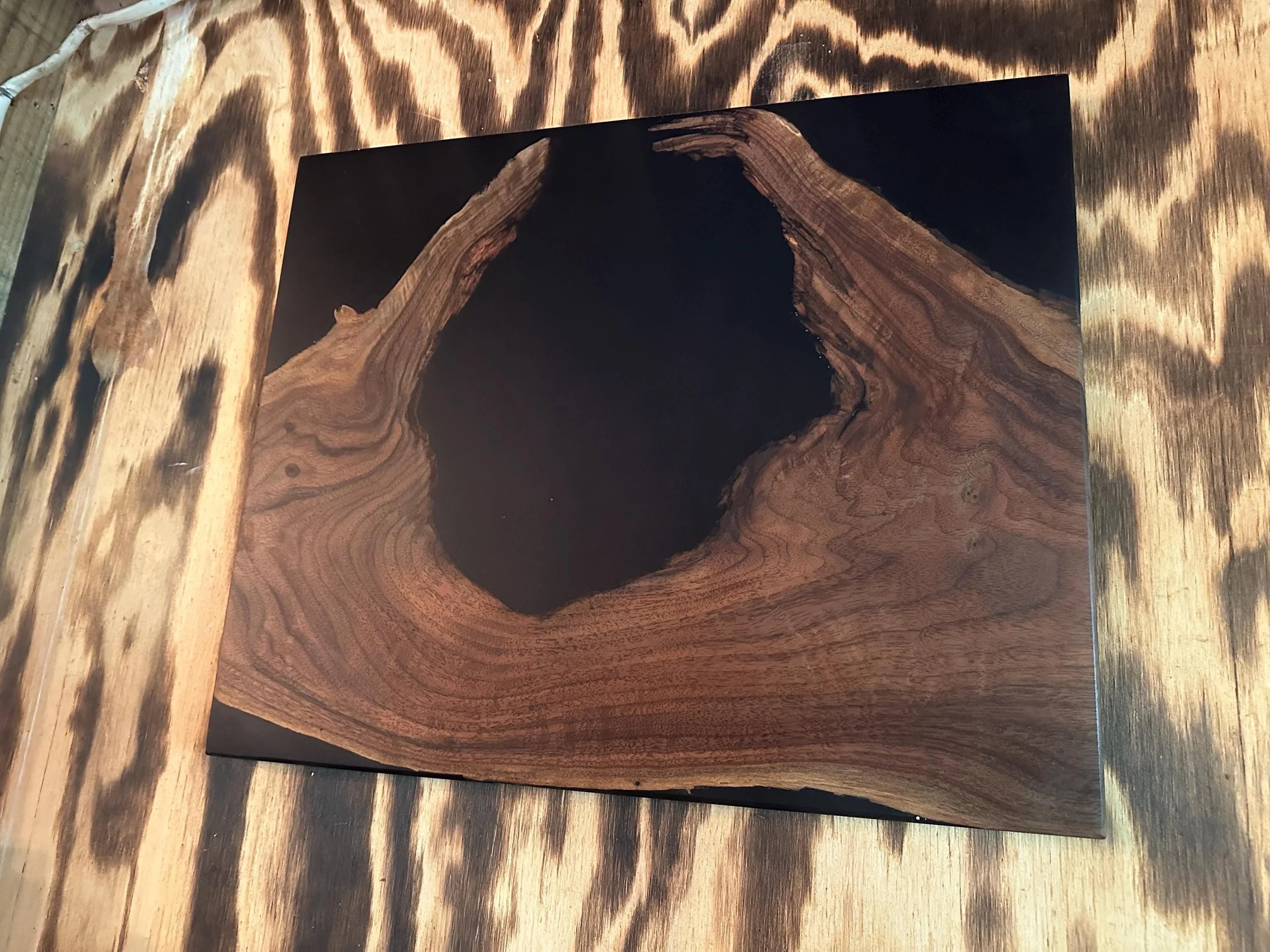 https://i.etsystatic.com/9936152/r/il/82f61d/7284091289/il_fullxfull.7284091289_qw3x.jpg