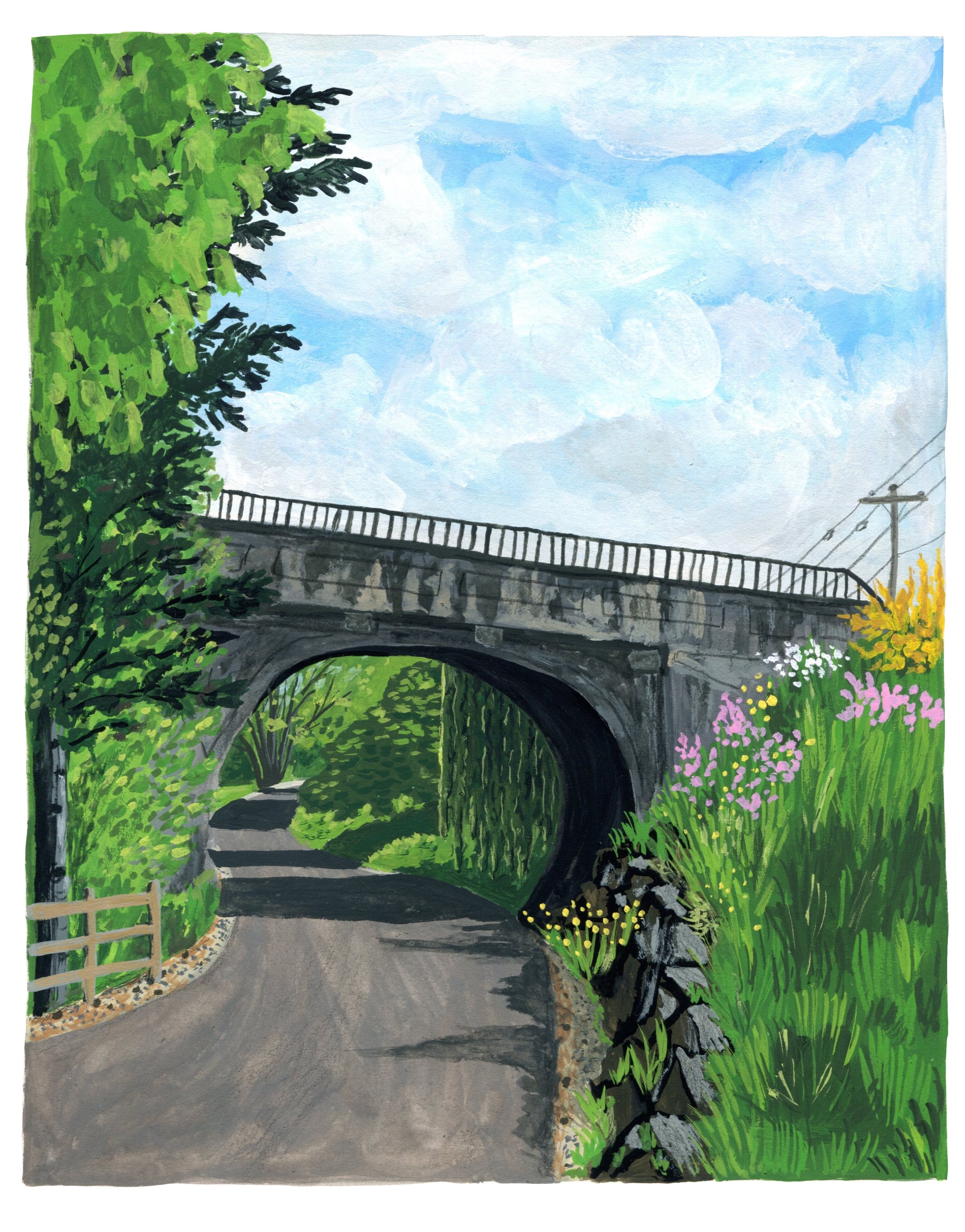 OLYMPIA SERIES: SPRING WALK AT TUMWATER FALLS