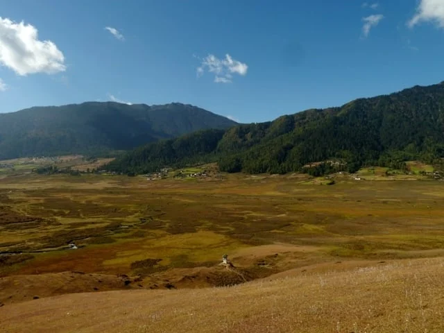 Valley of Black-necked Cranes (Phobjika Valley, Central Bhutan)