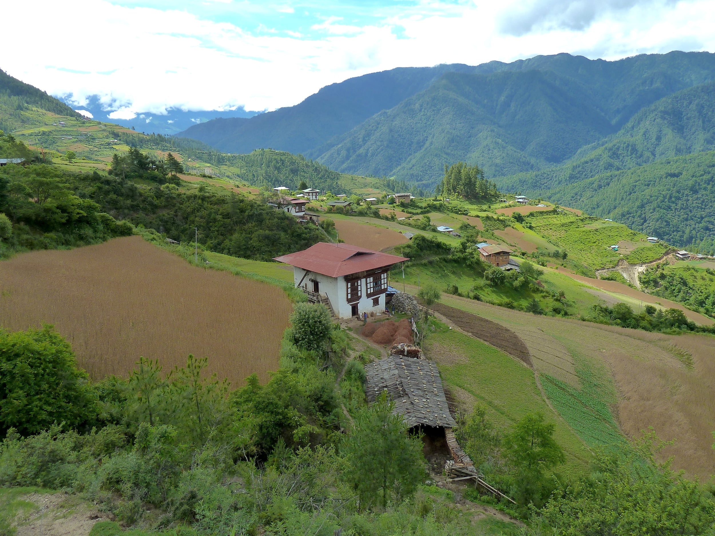 Road to Haa (Haa Valley, Western Bhutan)
