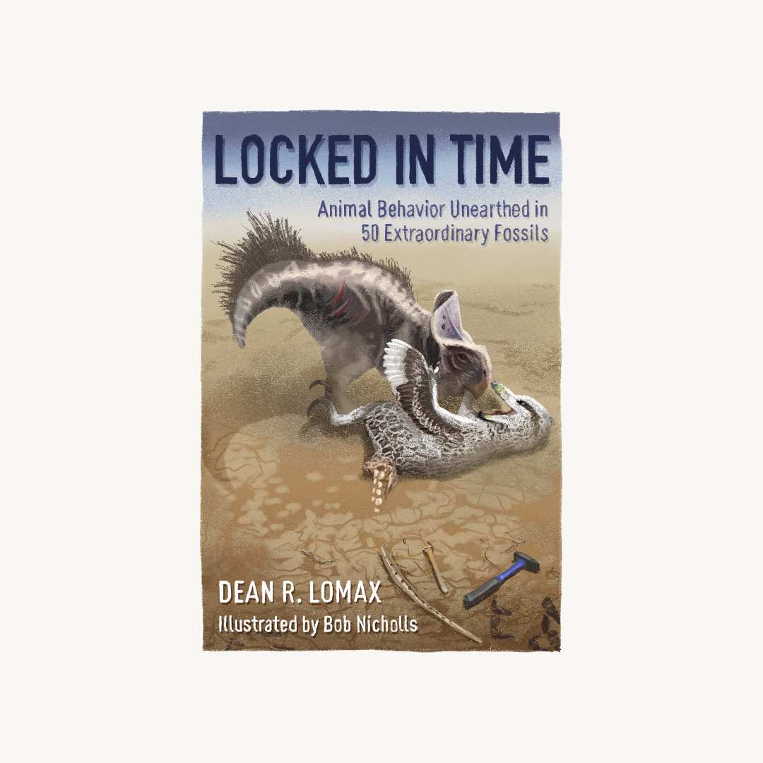 Book Review: Locked In Time