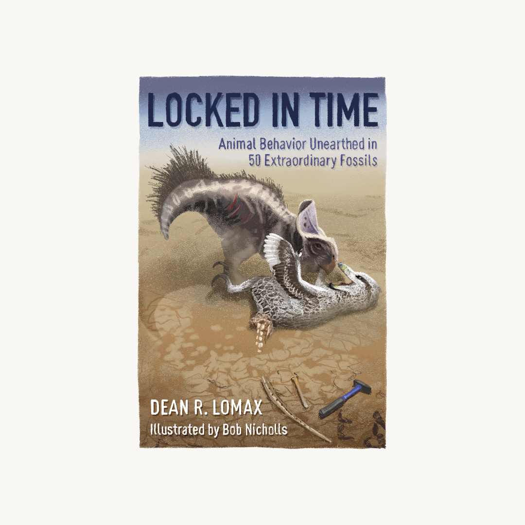 Locked In Time