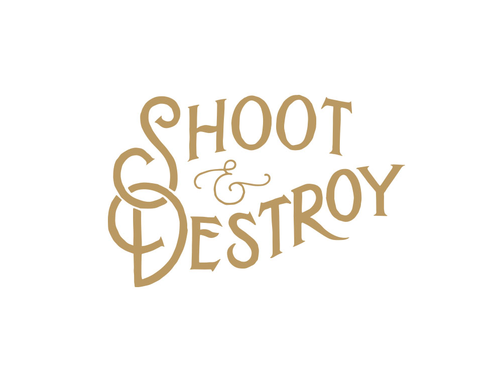 shoot_destory.jpg