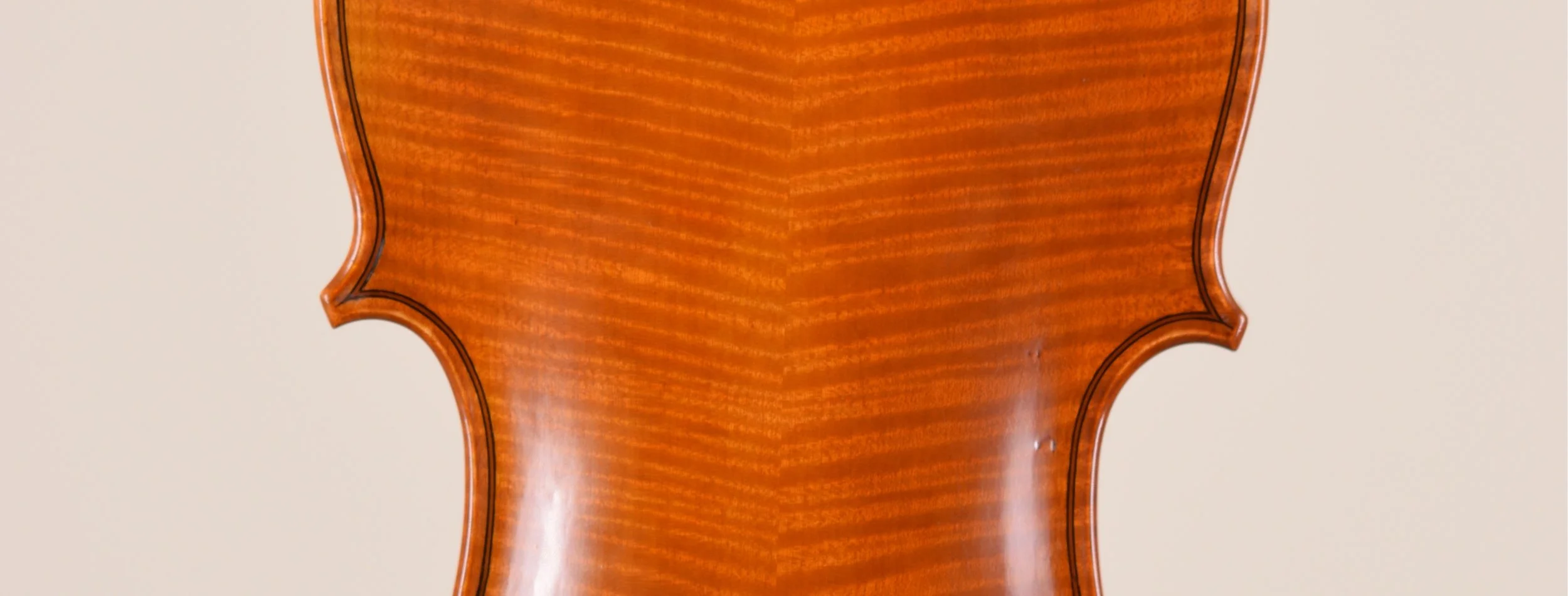 back edit of violin.jpg