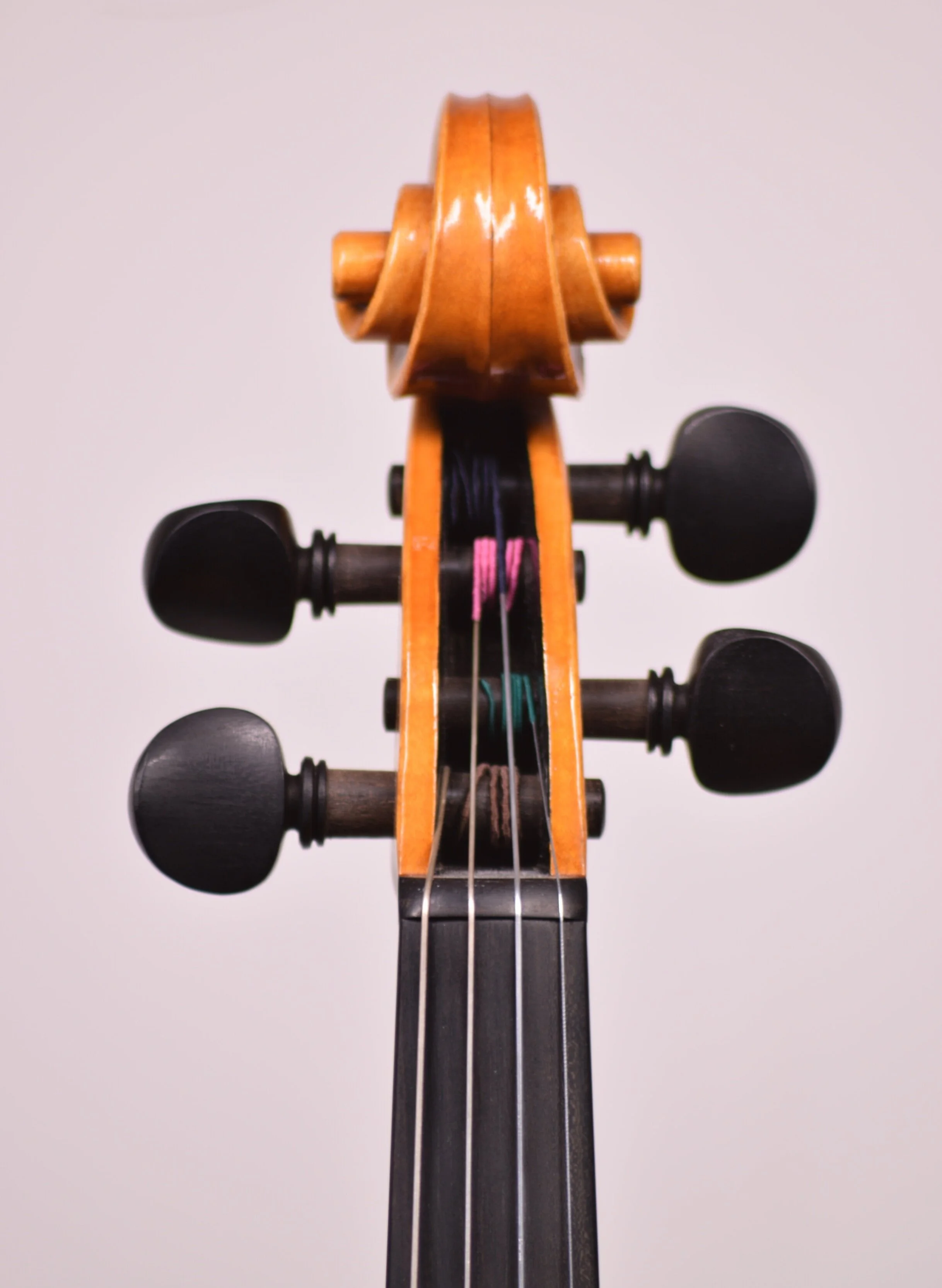 Calum Thomson 2020 Violin Focus