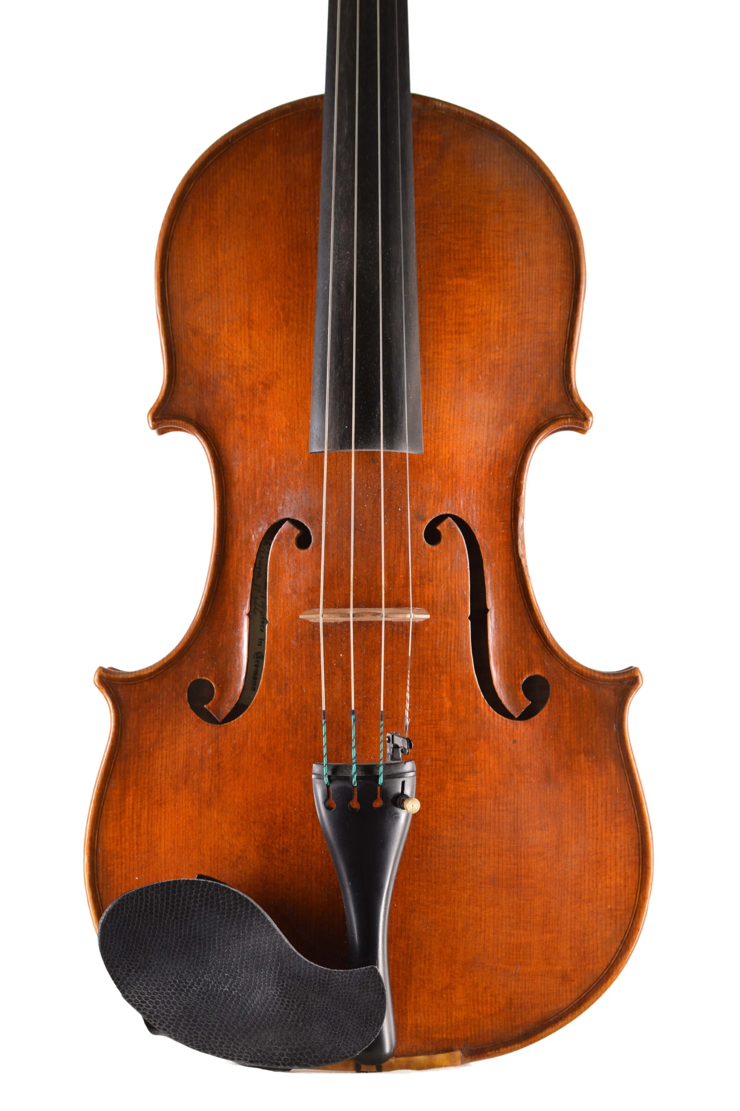 James Robinson Viola