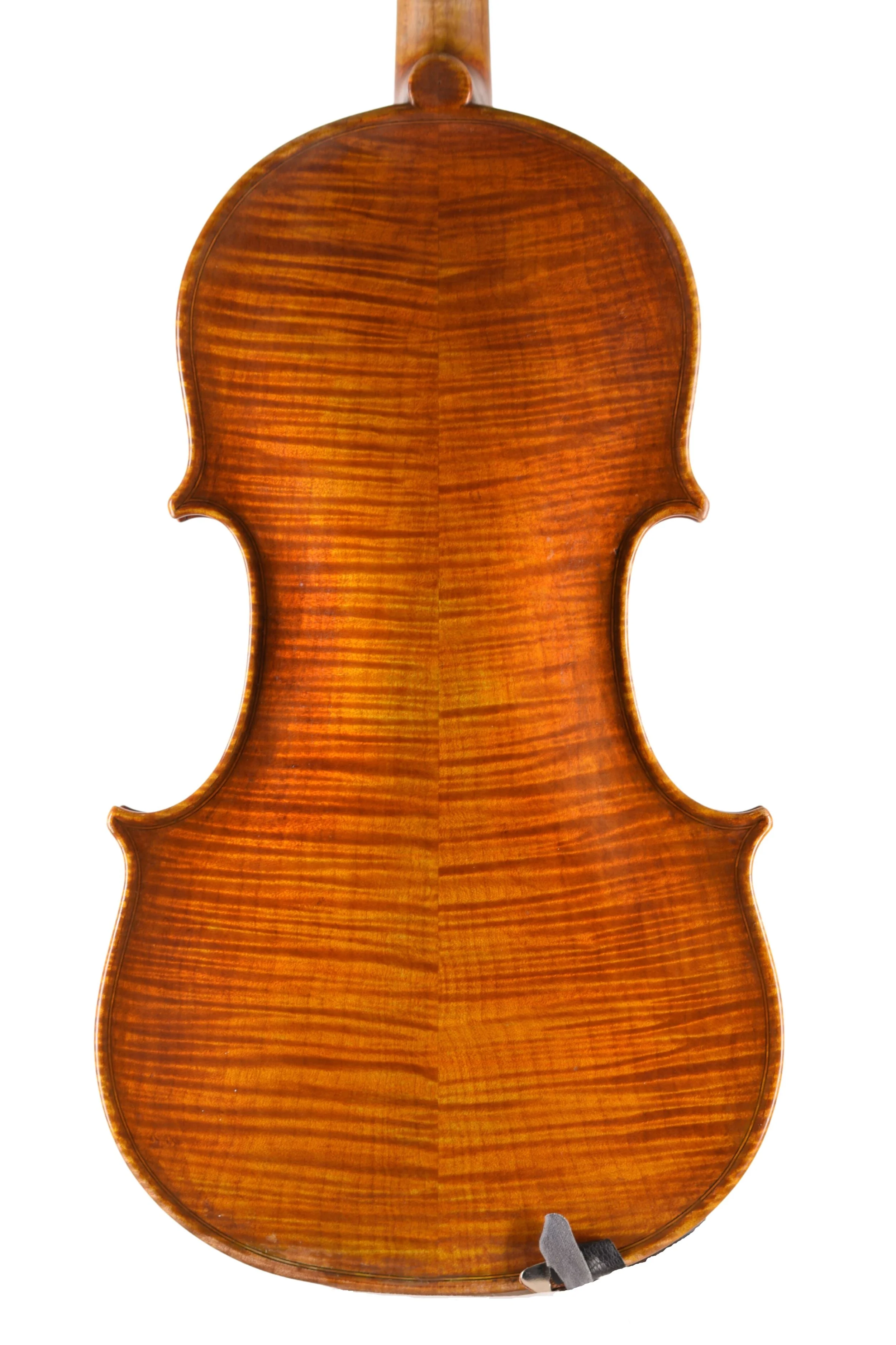 James Robinson Viola