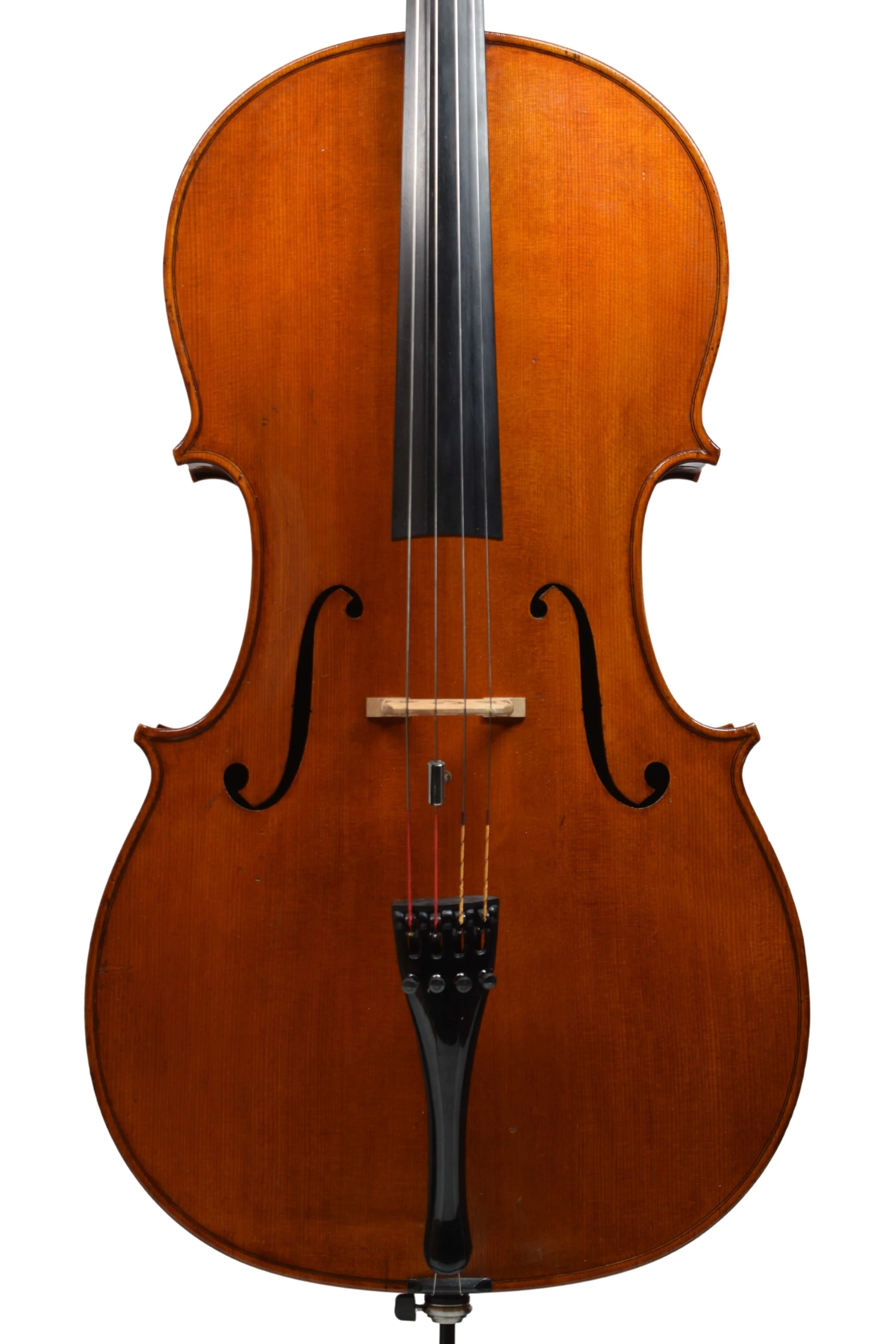 Cello by Giuseppe Saretta